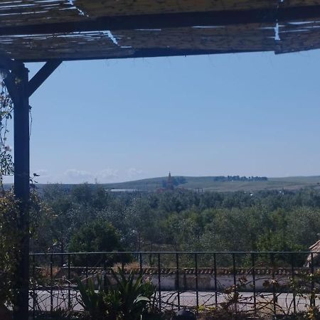 Апартаменты My Small Penthouse With Views.Tourism & Tranquility & Sun Кордова Экстерьер фото